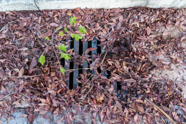 Cost of Yard Drain Unclogging in Poughkeepsie