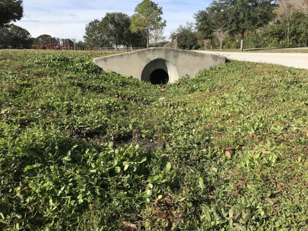 Cost of Swale Drainage Service in Poughkeepsie